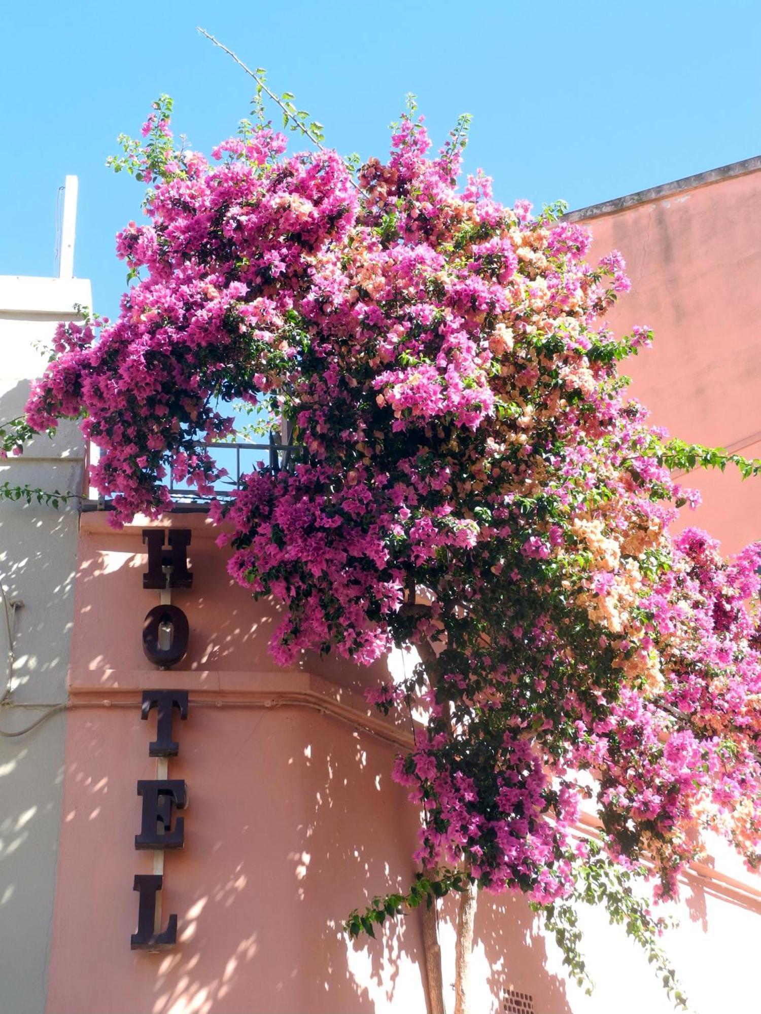 Albergo Italia Piombino Exterior photo